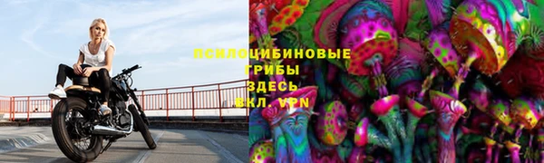 ешки Зерноград