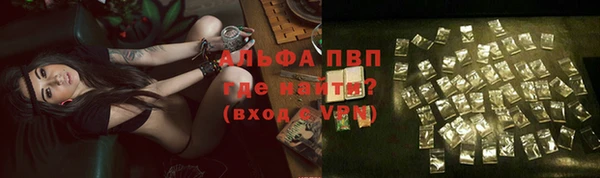 амф Заволжье