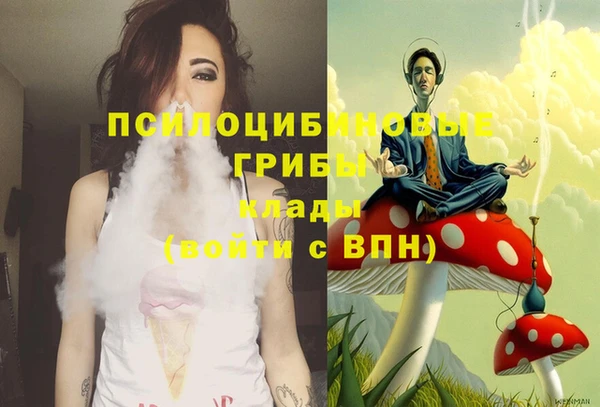 амф Заволжье