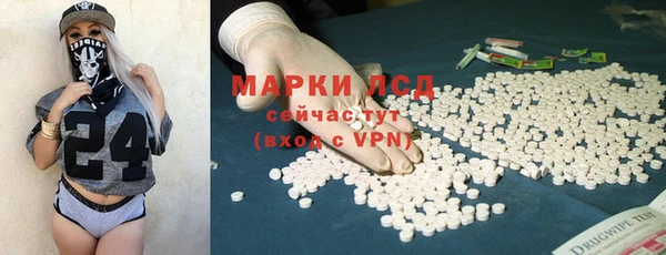 амф Заволжье