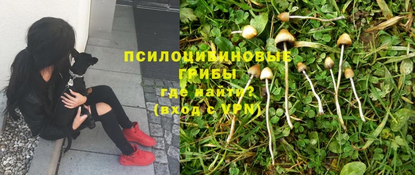 амф Заволжье